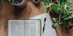 Foto di rachel Strong su Unsplash