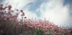 Foto di Annie Spratt su Unsplash