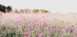 Foto di Amy Humphries su Unsplash