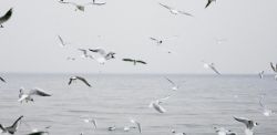 Foto di the Bialons su Unsplash