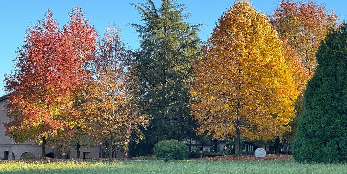 005_25_bose_autunno_5