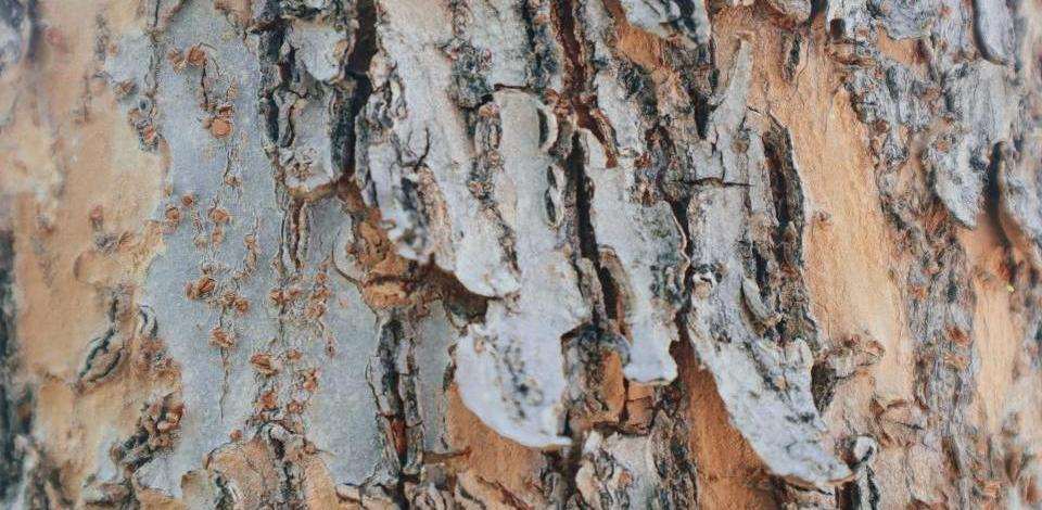 Foto di Allison Astorga su Unsplash