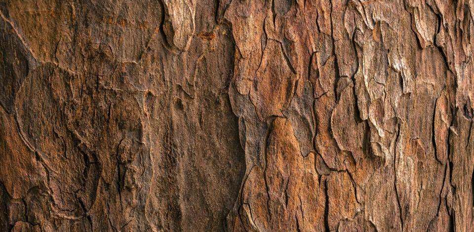 Foto di Jude Infantini su Unsplash