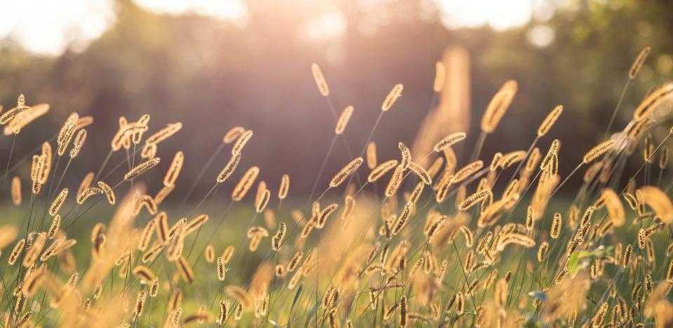 Foto di Lindsey Erin su Unsplash