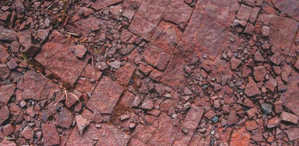 Foto di Erik Mclean su Unsplash