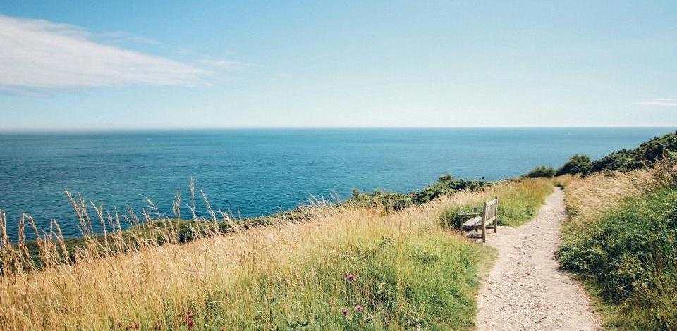 Foto di Rachel Lees su Unsplash